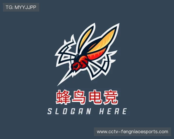 了解蜂鸟电竞公司